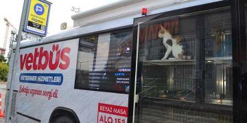 Büyükşehir'den sokak hayvanları için 'Vetbüs'