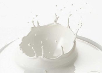 Çiğ Sütün Mikrobiyel Florası