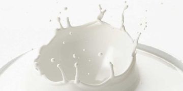 Çiğ Sütün Mikrobiyel Florası