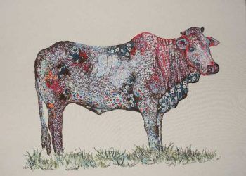 Geviş Getirenlerde Kıl Yumakları