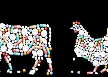 Gıdalarda Antibiyotik Kalıntıları