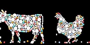 Gıdalarda Antibiyotik Kalıntıları