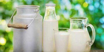 Hangi Sütler Tüketilmemelidir?