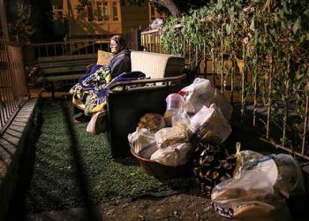 Hayvan sevgisi galip geldi