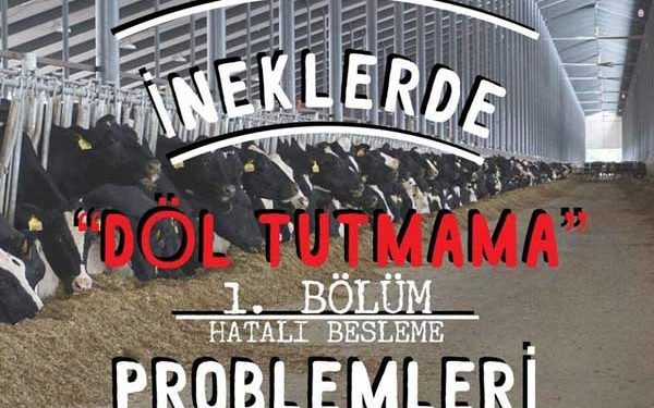 İneklerde Döl Tutmama Problemleri