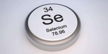 ineklerde Organik Selenyum 'un Dölverimi Üzerine Etkisi Var Mı?