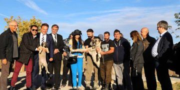 Kangal köpeklerine hayran kaldılar