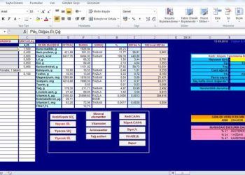 Kedi ve Köpek Mama Programı