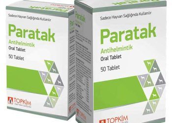 Paratak
