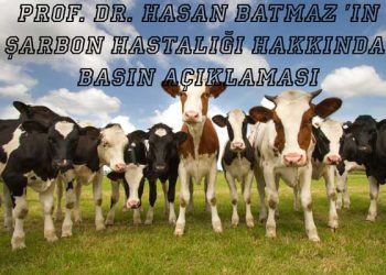 Şarbon (Antraks) Hastalığı Nedir? Nelere Dikkat Edilmelidir?