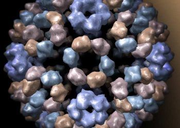 Semliki Ormanı Virusu Enfeksiyonu (SOV)