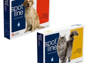 Spotline Damlatma Çözeltisi