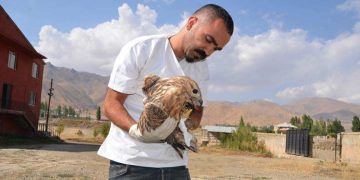 Yaban hayvanlarının şifacısı