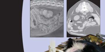 BSAVA Köpek ve Kedi Abdominal Görüntüleme Kılavuzu