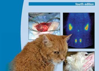 BSAVA Köpek ve Kedi Endokrinoloji Kılavuzu, 4. Baskı