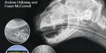 BSAVA Köpek ve Kedi Radyografi ve Radyoloji El Kitabı
