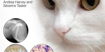 BSAVA Pratik Kedi El Kitabı