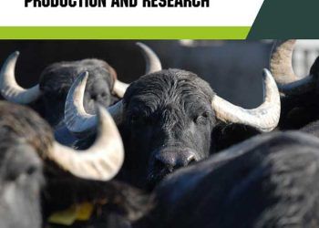 Asya Mandası (Bubalus bubalis): Üretim ve Araştırma