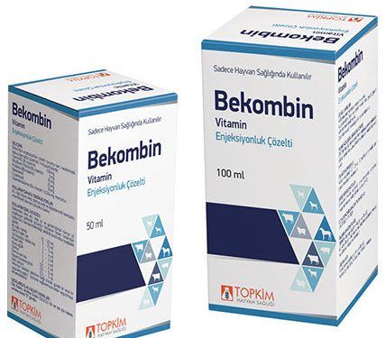 Bekombin