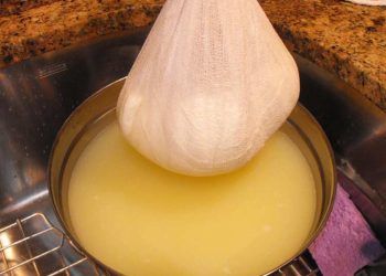 Buzağılarda Süte Alternatif Besleme Metodları