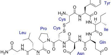 Oksitosin Agonistleri ve Antagonistleri