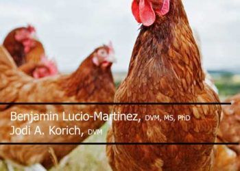 Kanatlı Nekropsi ve Teşhis için Resimli Rehber