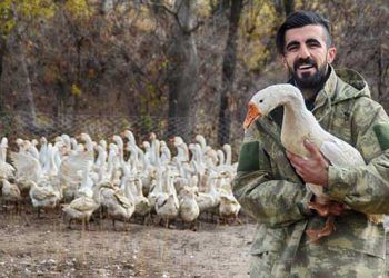 Aradığı işi bulamayınca kaz çiftliği kurdu
