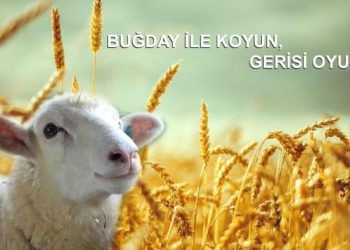 Buğday ile Koyun, Gerisi Oyun