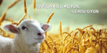 Buğday ile Koyun, Gerisi Oyun