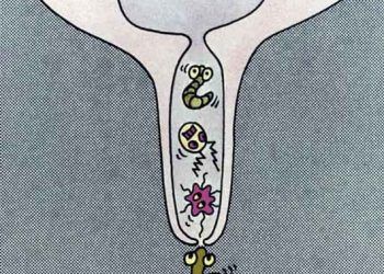 İneklerde Mastitis (Meme İltihabı)