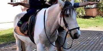 Okulları gezip çocuklara at sevgisi aşılıyorlar