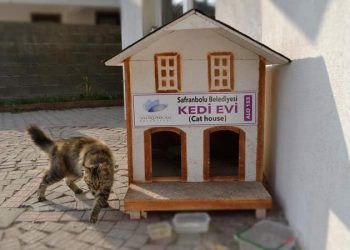Safranbolu'da tarihi ev görünümlü kedi evleri