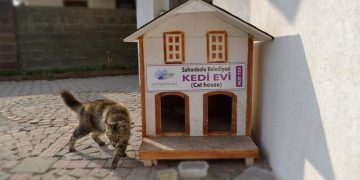 Safranbolu'da tarihi ev görünümlü kedi evleri