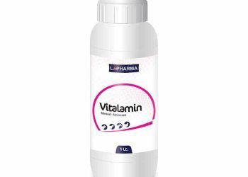 Vitalamin