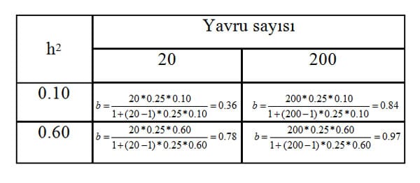 Yavruların fenotipik ortalamalarının babalarının genotipini gösterme