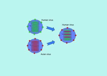 Yeniden Düzenleme Nedir?