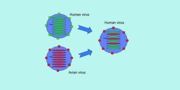 Yeniden Düzenleme Nedir?
