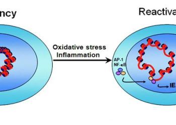 Yeniden Etkin Olma Nedir?