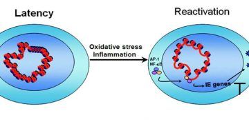 Yeniden Etkin Olma Nedir?
