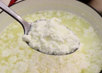 Yenilebilir Asit Kazein Nedir?