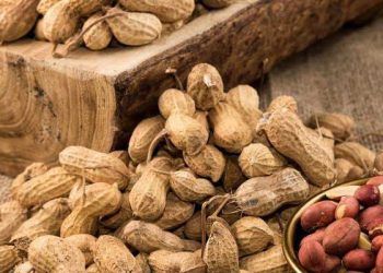 Yer Fıstığı Nedir?