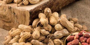 Yer Fıstığı Nedir?