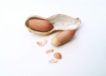 Yer Fıstığı Zarı Nedir?