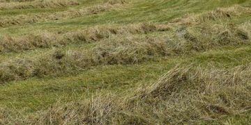 Yerde Kurutma Nedir?