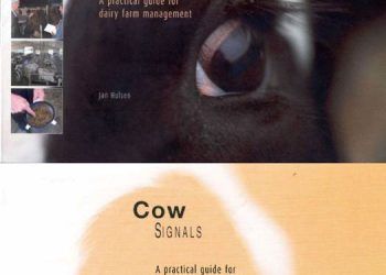 İnek Sinyalleri: Süt Hayvancılığı Yönetimi İçin Pratik Bir Rehber