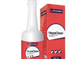 HepaClean