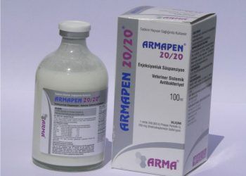 Armapen 20/20