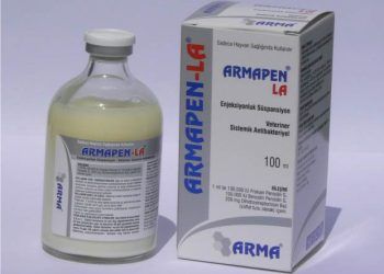 Armapen LA