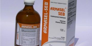Armasal SEB
