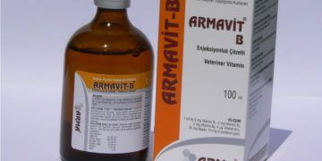Armavit B